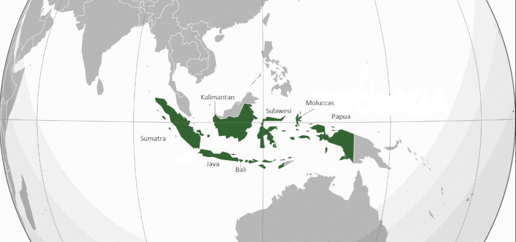 De kinderen van Profeet Mohammed (saw) – De Oemma